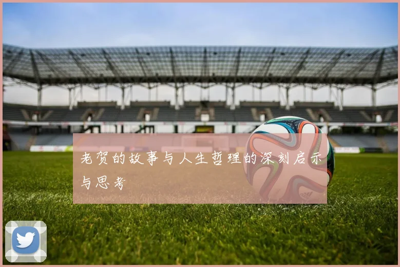 老贺的故事与人生哲理的深刻启示与思考